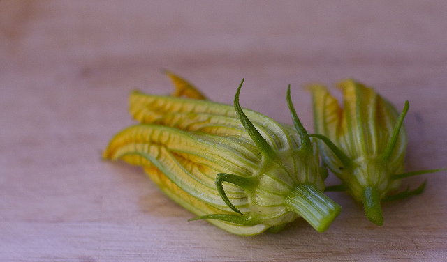 Come preparare i fiori di zucca in pastella alla birra