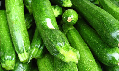 Ecco le zucchine alla scapece da fare al forno