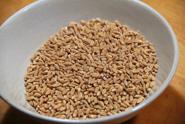 L&#8217;insalata di farro con verdure e pesce per un piatto unico sfizioso