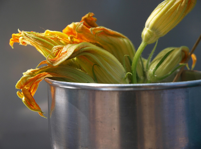 La pasta con fiori di zucca e provola per il pranzo estivo