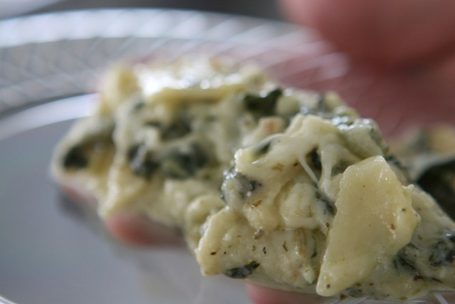 Lasagne con le zucchine: la ricetta facile di Alessandra Spisni