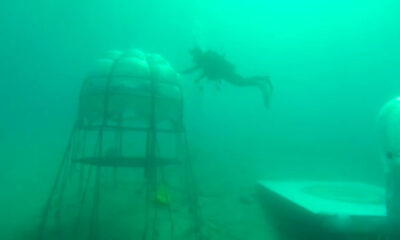 Il basilico ligure per il pesto si coltiva in fondo al mare: è il Nemo’s Garden
