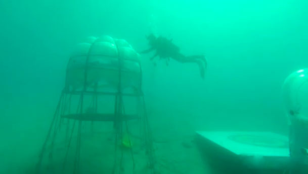 Il basilico ligure per il pesto si coltiva in fondo al mare: è il Nemo’s Garden