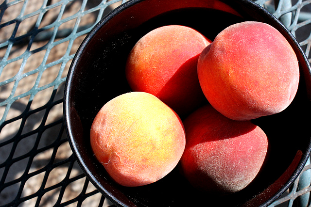 Ecco il semifreddo con pesche fresche per il dolce di fine pasto