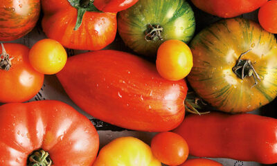Linda Louis, Pomodori antichi e golosi