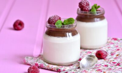 mousse light allo yogurt