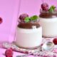 mousse light allo yogurt