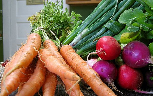 L’insalata di ravanelli e carote con la ricetta veloce