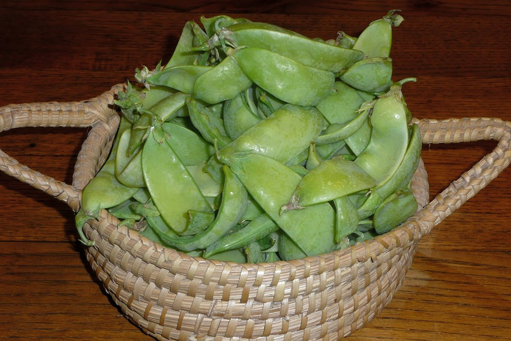 Le taccole in padella da preparare con la ricetta per il contorno