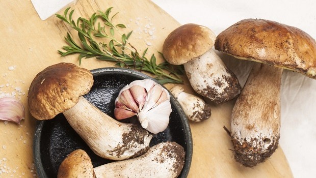Pappardelle prezzemolate ai funghi: la ricetta sfiziosa di Alessandra Spisni