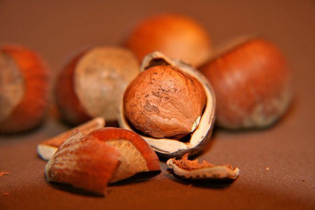 La pasta di nocciole fatta in casa con la ricetta facile