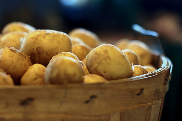 La torta di patate della Garfagnana con la ricetta tipica