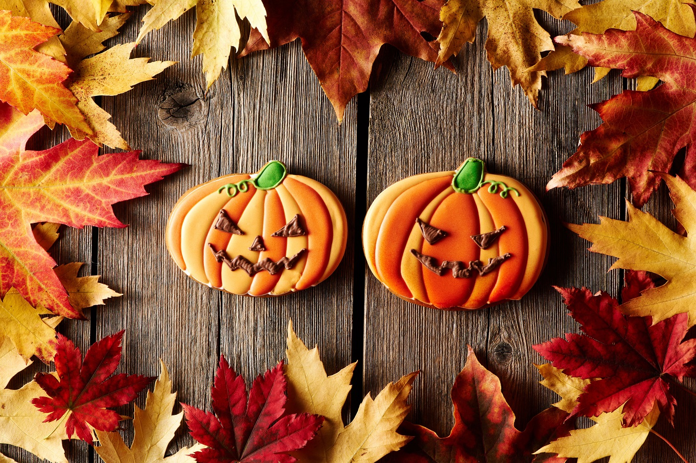 E’ Halloween: ecco la zucca da intagliare e da usare nelle ricette