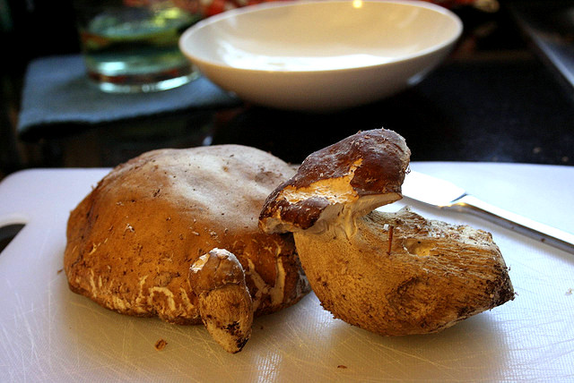 L’insalata di porcini e grana con la ricetta sfiziosa