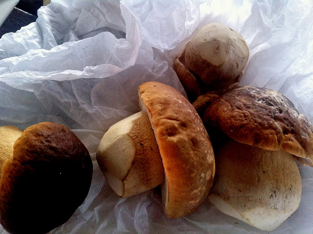 L’insalata di funghi porcini e sedano con la ricetta veloce