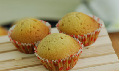 muffin cioccolato bianco cocco ideali merenda