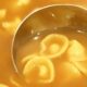 brodo per cappelletti