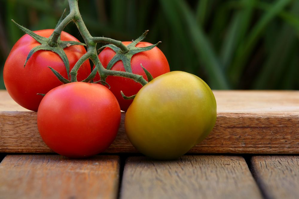 La sfoglia al pomodoro con la ricetta base