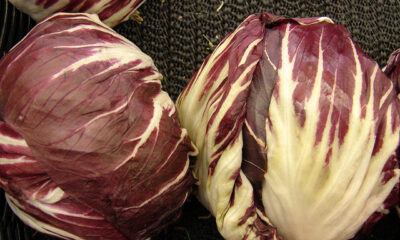 sformato radicchio rosso e gorgonzola ricetta semplice