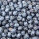 ricette per depurare l'organismo