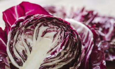 antipasti con il radicchio