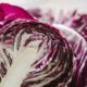 antipasti con il radicchio