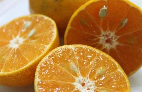 L’olio aromatizzato all’arancia, come farlo in casa