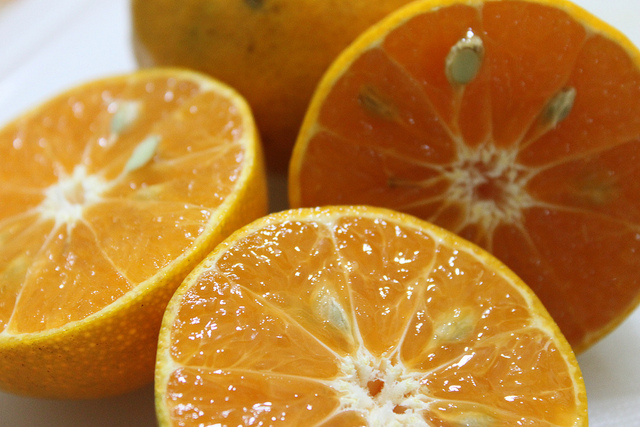 Come fare lo zuccotto all’arancia con la ricetta facile