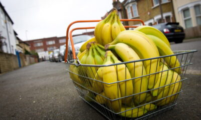 Banana e platano: differenze e curiosità su due frutti dall'aspetto simile