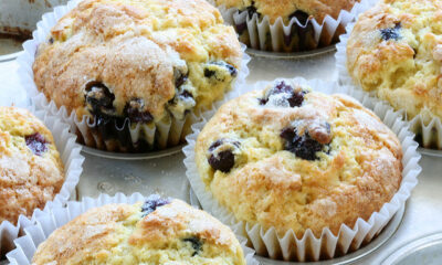 muffin cioccolato bianco mirtilli merenda golosa