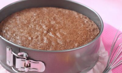 pan di spagna cioccolato Luca Montersino