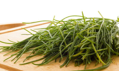 pasta agretti gorgonzola per primo diverso solito