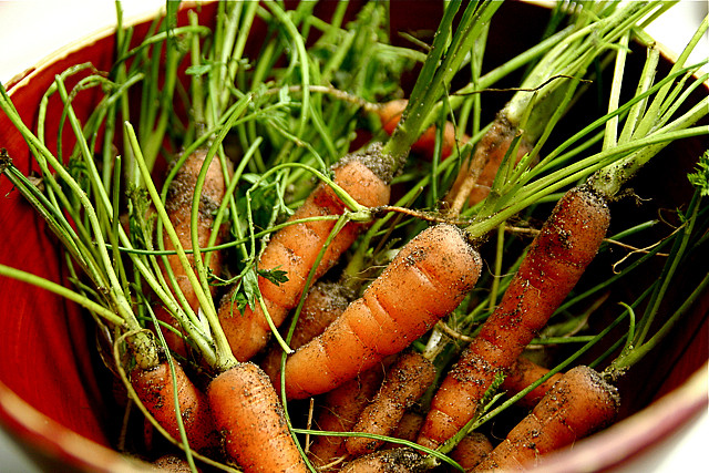 5 ricette con le carote facili e gustose