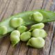 Come cucinare le fave fresche e quelle secche