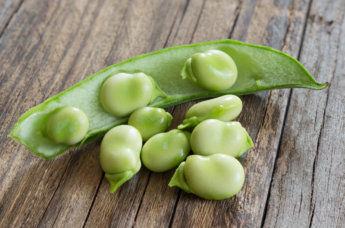 Le fave nella zuppa: ecco la ricetta da provare