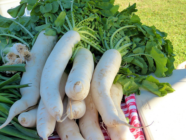 Come fare il daikon al forno con patate, la ricetta del contorno