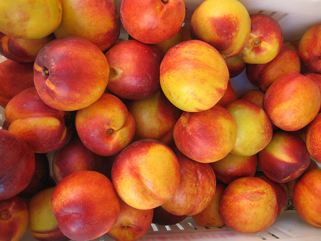 Il frullato di pesche e albicocche: ecco la ricetta della merenda sana