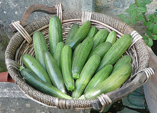 Il gratin di zucchine e fontina facile da preparare