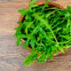 Il pesto di rucola e pomodorini secchi per primi piatti sfiziosi