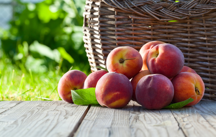 Le pesche nettarine sciroppate: ecco la ricetta da provare