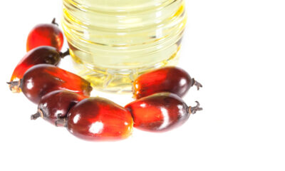 olio di palma