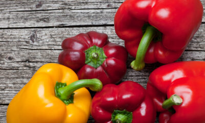 Gli involtini di peperoni e caprino perfetti per l'antipasto