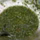 La salsa al basilico e menta con la ricetta veloce