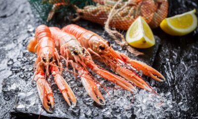 Gli scampi