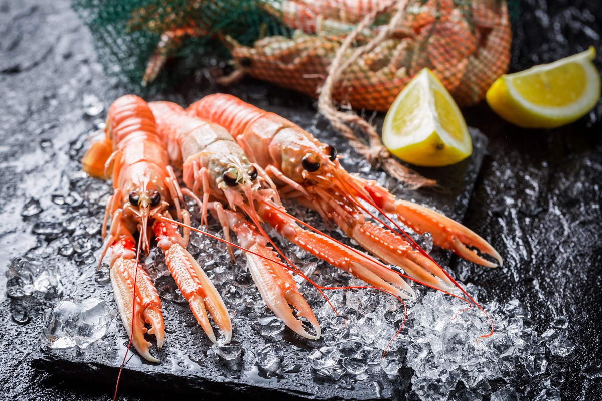 Scampi, gamberi e mazzancolle: le differenze e le migliori ricette da gustare