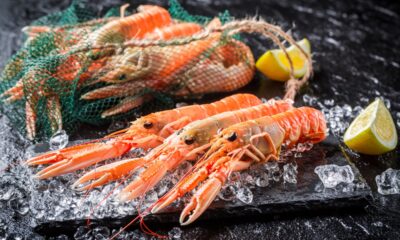 Gli scampi