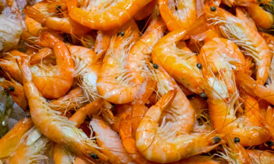 Scampi alla catalana
