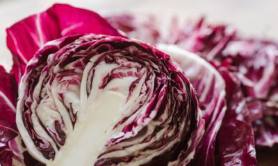 5 ricette con il radicchio trevigiano