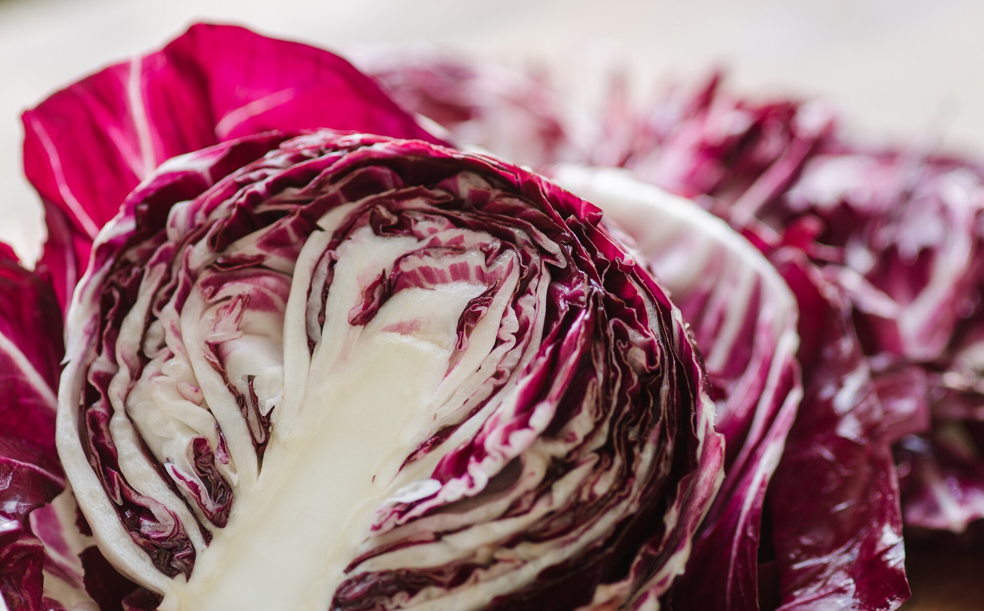 Il radicchio trevigiano da usare in 5 ricette gustose