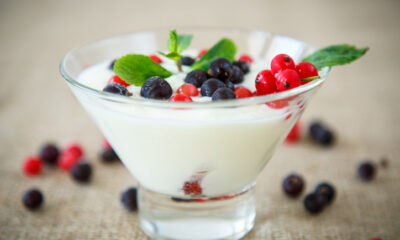 La mousse di yogurt greco e ricotta con la ricetta veloce